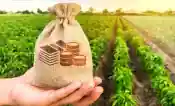 mezőgazdaság